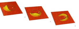 http://oloommagazine.com/images/Articles/11/SCI95b11N11_H01_004387.jpg