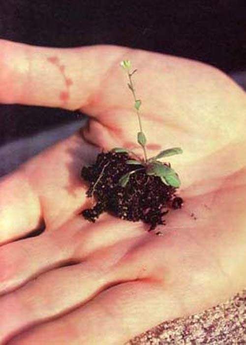 http://oloommagazine.com/images/Articles/11/SCI95b11N4_H02_004945.jpg