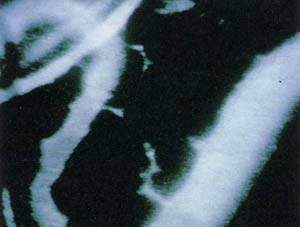 http://oloommagazine.com/images/Articles/11/SCI95b11N4_H03_004963.jpg