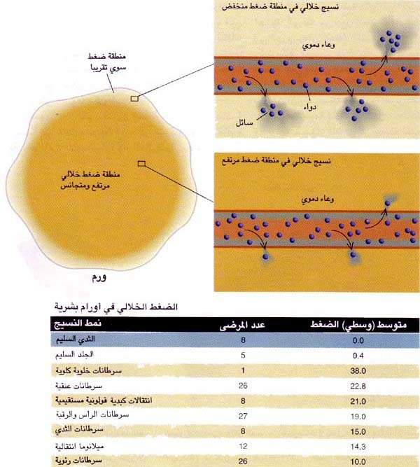 http://oloommagazine.com/images/Articles/11/SCI95b11N4_H03_004964.jpg