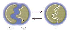 http://oloommagazine.com/images/Articles/11/SCI95b11N4_H01_004935.jpg