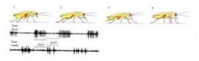 http://oloommagazine.com/images/Articles/13/SCI97b13N6-7_H03_007076.jpg