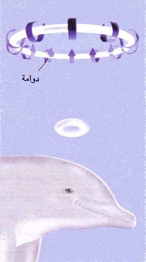 http://oloommagazine.com/images/Articles/13/SCI97b13N3_H05_006789.jpg