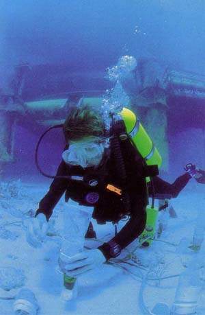 http://oloommagazine.com/images/Articles/13/SCI97b13N4_H01_006864.jpg