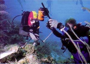 http://oloommagazine.com/images/Articles/13/SCI97b13N4_H01_006865.jpg