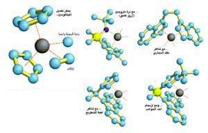 http://oloommagazine.com/images/Articles/13/SCI97b13N5_H01_006965.jpg