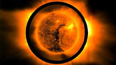 http://oloommagazine.com/images/Articles/13/SCI97b13N5_H04_006980.jpg