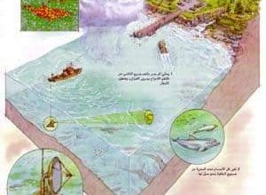 http://oloommagazine.com/images/Articles/13/SCI97b13N11_H05_006441.jpg