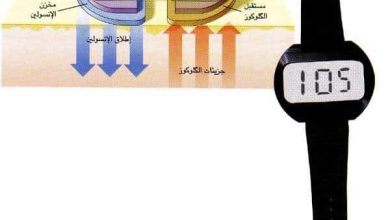 http://oloommagazine.com/images/Articles/14/SCI98b14N5_H03_007855.jpg