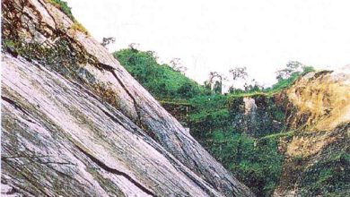 http://oloommagazine.com/images/Articles/14/SCI98b14N6-7_H05_007968.jpg