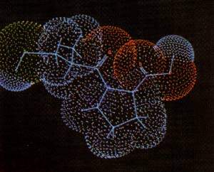 http://oloommagazine.com/images/Articles/15/SCI99b15N6-7_H05_008953.jpg