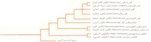 http://oloommagazine.com/images/Articles/15/SCI99b15N6-7_H02_008927.jpg