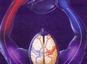http://oloommagazine.com/images/Articles/15/SCI99b15N12_H04_008388.jpg