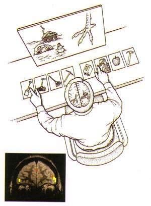http://oloommagazine.com/images/Articles/15/SCI99b15N12_H04_008391.jpg