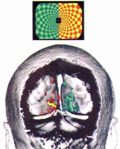 http://oloommagazine.com/images/Articles/15/SCI99b15N2-3_H03_008603.jpg