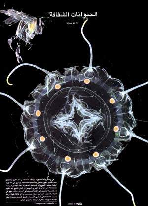 http://oloommagazine.com/images/Articles/16/SCI2000b16N10_H04_00798.jpg