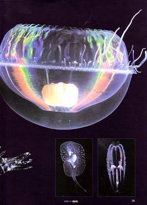 http://oloommagazine.com/images/Articles/16/SCI2000b16N10_H04_00800.jpg