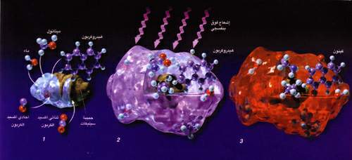 http://oloommagazine.com/images/Articles/16/SCI2000b16N1_H01_003640.jpg