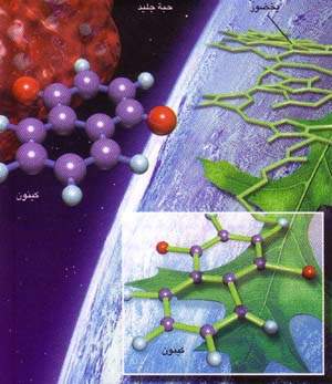 http://oloommagazine.com/images/Articles/16/SCI2000b16N1_H01_003645.jpg