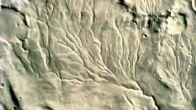 http://oloommagazine.com/images/Articles/16/SCI2000b16N7_8_H02_001224.jpg