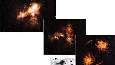 http://oloommagazine.com/images/Articles/16/SCI2000b16N11_H05_003470.jpg