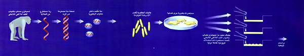 http://oloommagazine.com/images/Articles/16/SCI2000b16N4_H05_00291.jpg