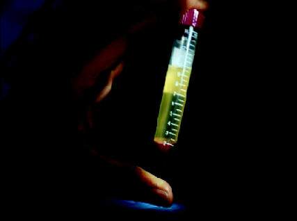 http://oloommagazine.com/images/Articles/17/SCI2001b17N11-12_H03_001558.jpg