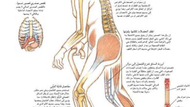 http://oloommagazine.com/images/Articles/17/SCI2001b17N6-7_H04_001772.jpg