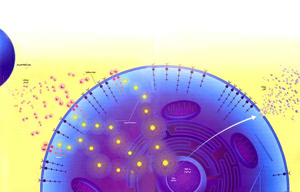 http://oloommagazine.com/images/Articles/17/SCI2001b17N1-2_H04_00365.jpg