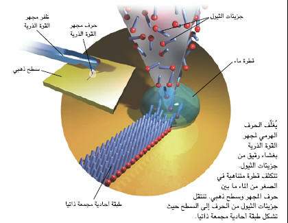 http://oloommagazine.com/images/Articles/18/SCI2002b18N9-10_H04_002536.jpg
