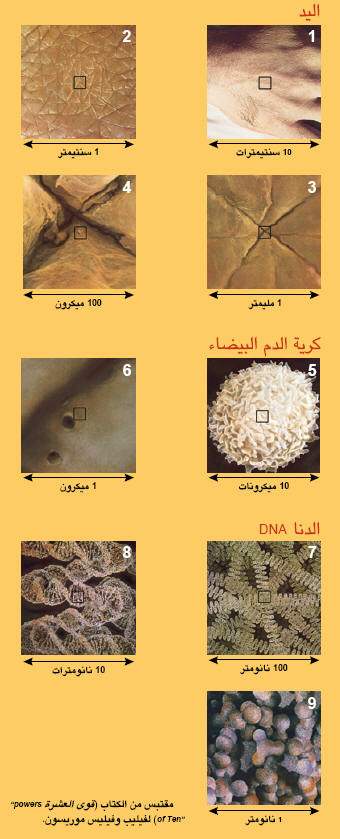 http://oloommagazine.com/images/Articles/18/SCI2002b18N9-10_H03_002530.jpg