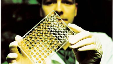 http://oloommagazine.com/images/Articles/18/SCI2002b18N7-8_H01_002434.jpg