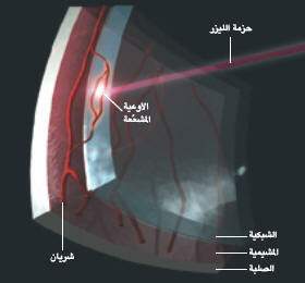 http://oloommagazine.com/images/Articles/19/SCI2003b19N1_H03_002768.jpg