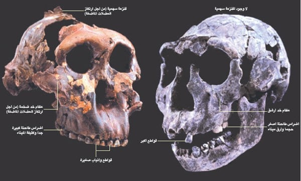 http://oloommagazine.com/images/Articles/19/SCI2003b19N10_H01_009216.jpg
