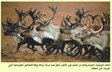 http://oloommagazine.com/images/Articles/19/SCI2003b19N10_H01_009218.jpg