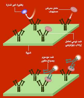 http://oloommagazine.com/images/Articles/19/SCI2003b19N4-5_H01_002933.jpg