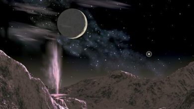 http://oloommagazine.com/images/Articles/19/SCI2003b19N2-3_H03_002848.jpg