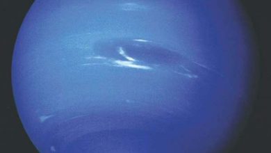 http://oloommagazine.com/images/Articles/20/SCI2004b20N12_H03_003157.jpg