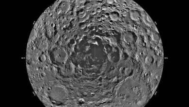 http://oloommagazine.com/images/Articles/20/SCI2004b20N6-7_H02_00738.jpg