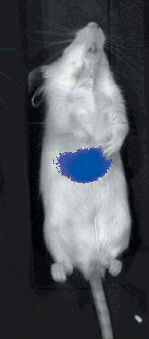http://oloommagazine.com/images/Articles/20/SCI2004b20N2-3_H03_003352.jpg