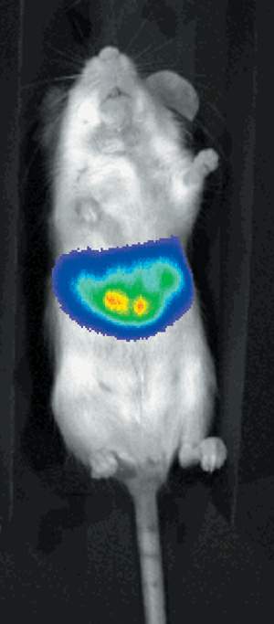 http://oloommagazine.com/images/Articles/20/SCI2004b20N2-3_H03_003353.jpg