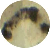 http://oloommagazine.com/images/Articles/20/SCI2004b20N2-3_H01_003317.jpg