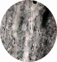 http://oloommagazine.com/images/Articles/20/SCI2004b20N2-3_H01_003320.jpg