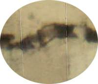 http://oloommagazine.com/images/Articles/20/SCI2004b20N2-3_H01_003322.jpg