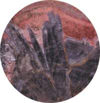 http://oloommagazine.com/images/Articles/20/SCI2004b20N2-3_H01_003323.jpg