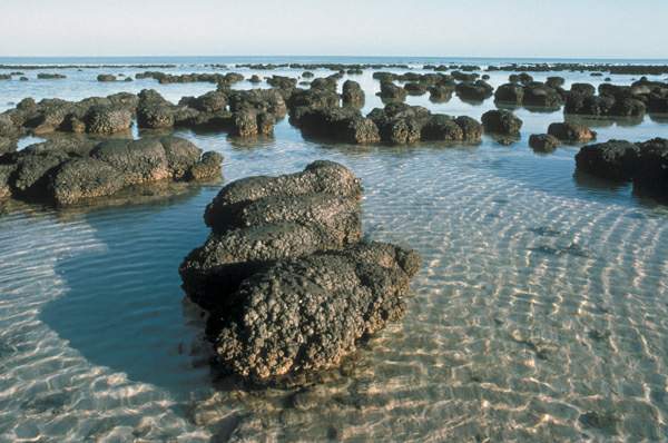 http://oloommagazine.com/images/Articles/20/SCI2004b20N2-3_H01_003329.jpg