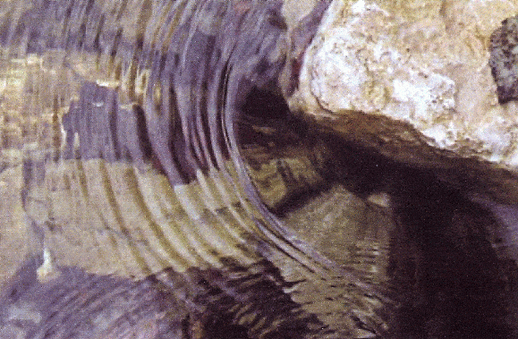 http://oloommagazine.com/images/Articles/2006/1-2/scan0026.gif