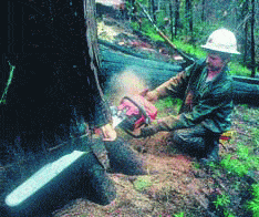 http://oloommagazine.com/images/Articles/2006/5/08.gif