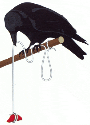 http://oloommagazine.com/images/Articles/2007/10-9/0014.gif