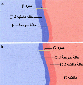 http://oloommagazine.com/images/Articles/2007/5-6/118.gif